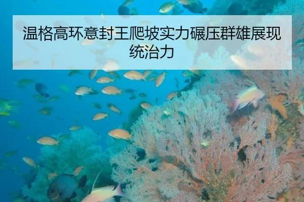 温格高环意封王爬坡实力碾压群雄展现统治力